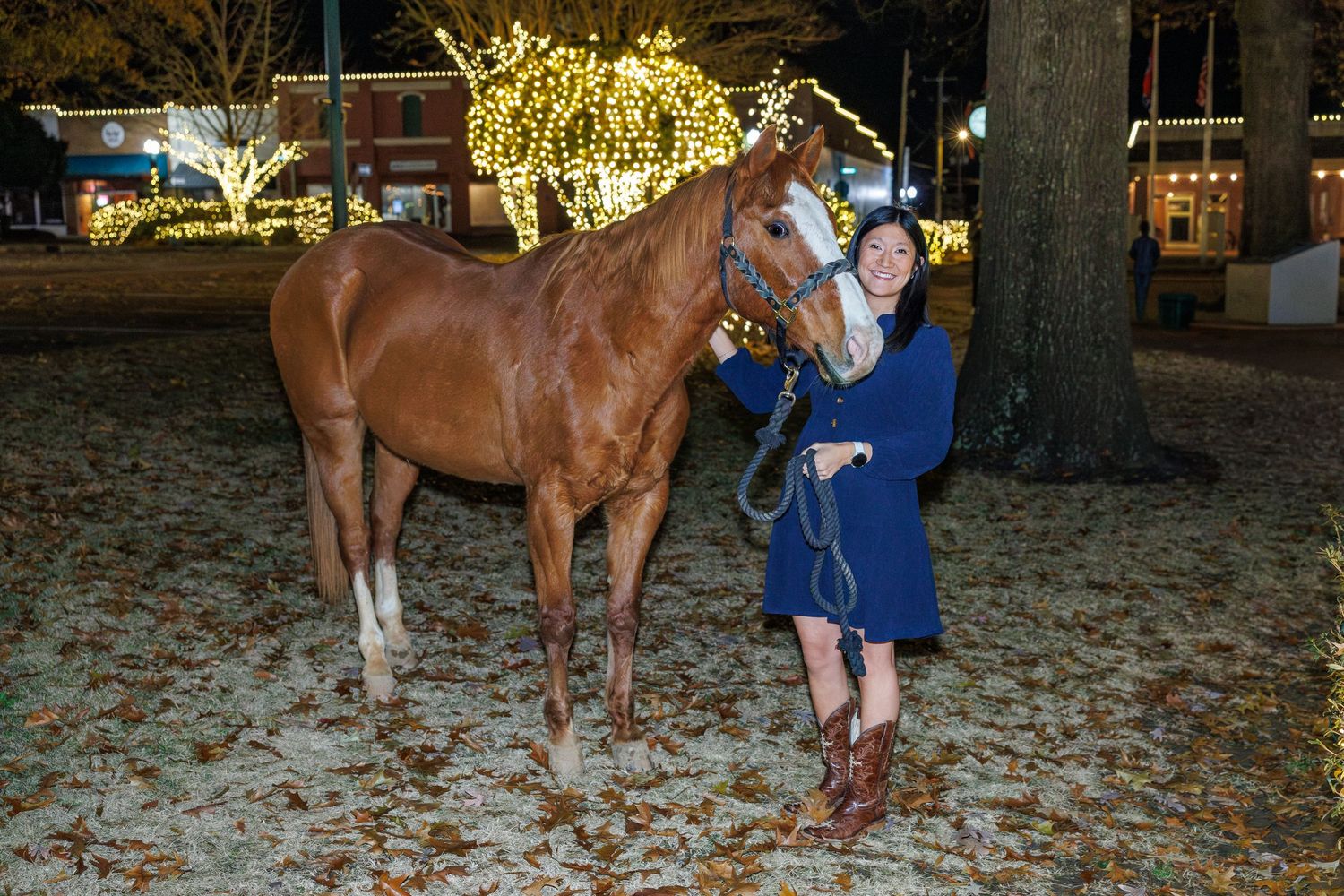 Outdoor scene with trees illuminated by warm holiday lights at night.