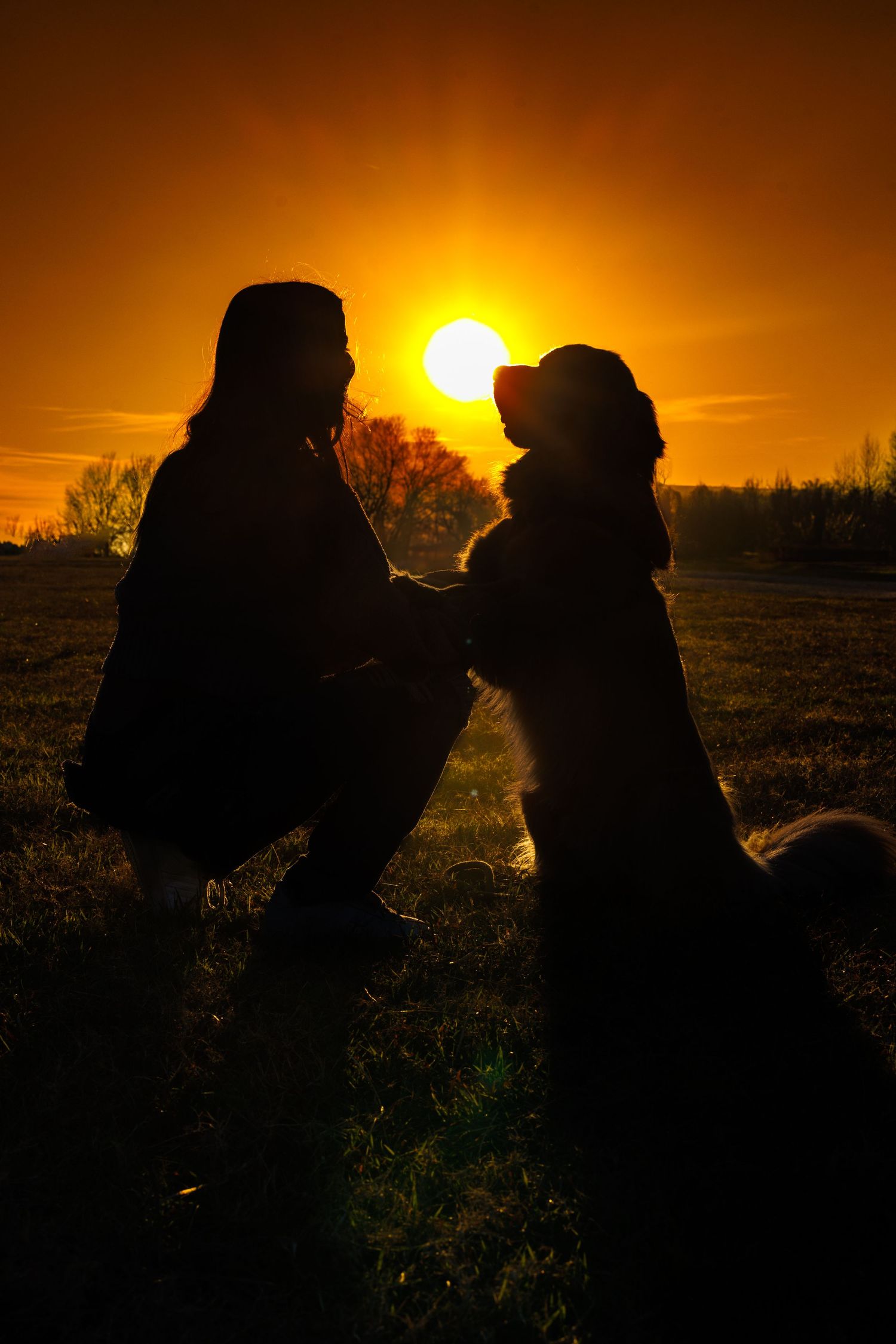 Silhouettes against a dramatic orange sunset sky.