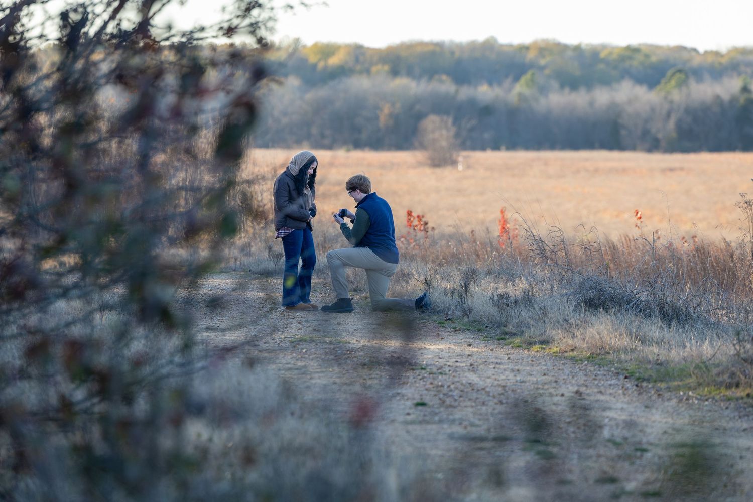 Wide landscape view of a proposal moment in a serene field setting.