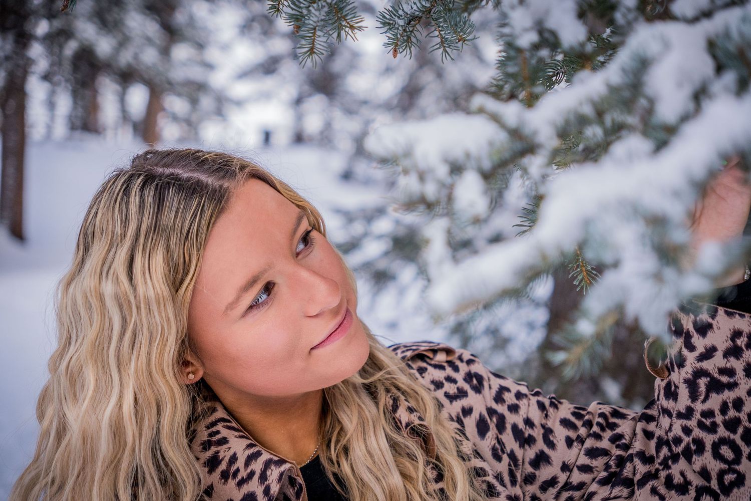 Woman in leopard print sweater poses against snowy winter branches in outdoor portrait setting.