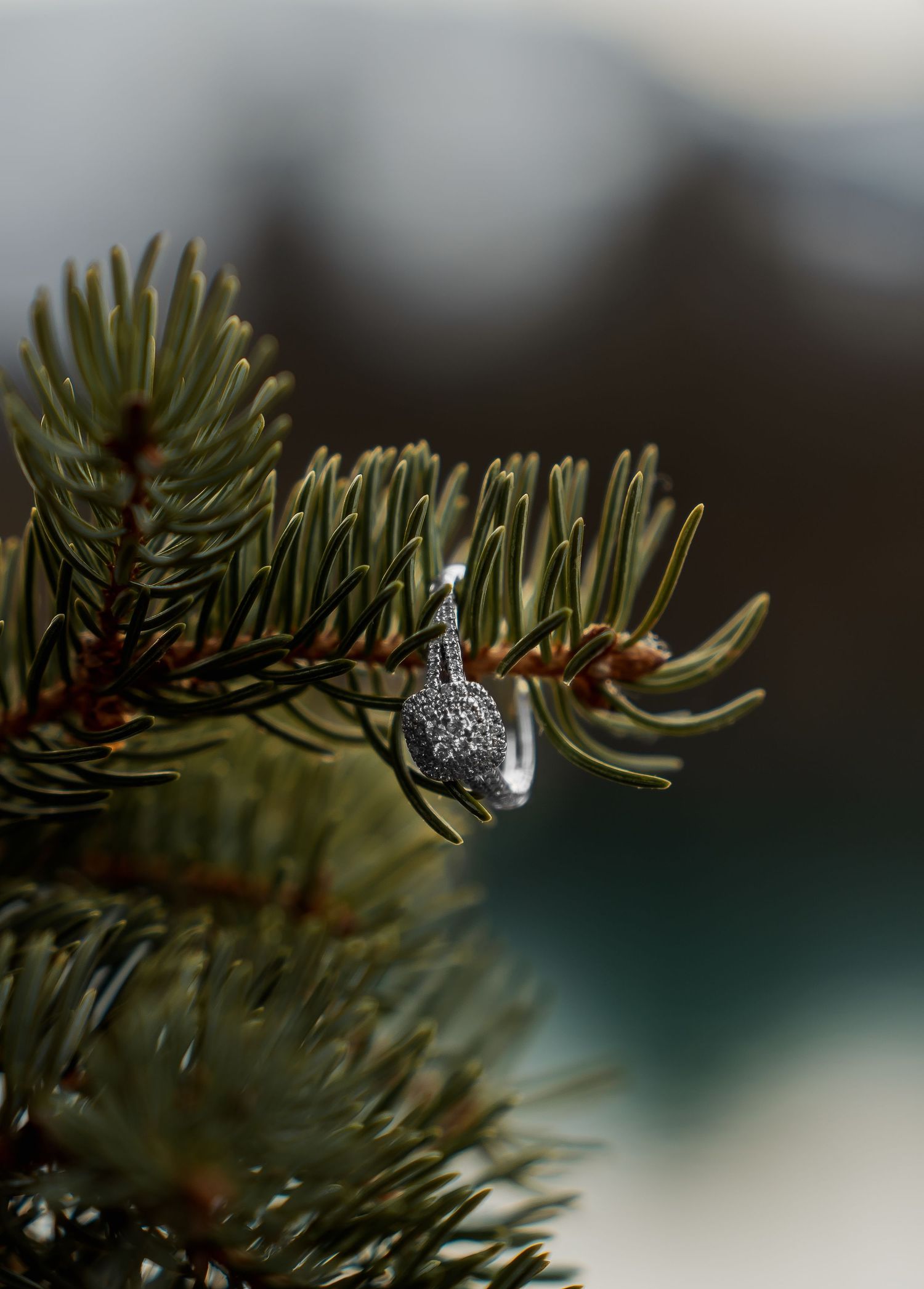 Diamond engagement ring resting on evergreen pine branches with bokeh background.