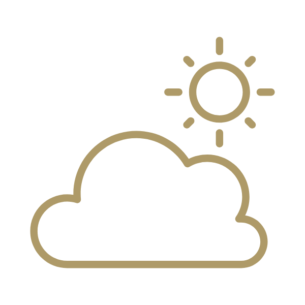 Simple weather icons in gold color showing sun, cloud, rain and sun behind cloud symbols on white background.