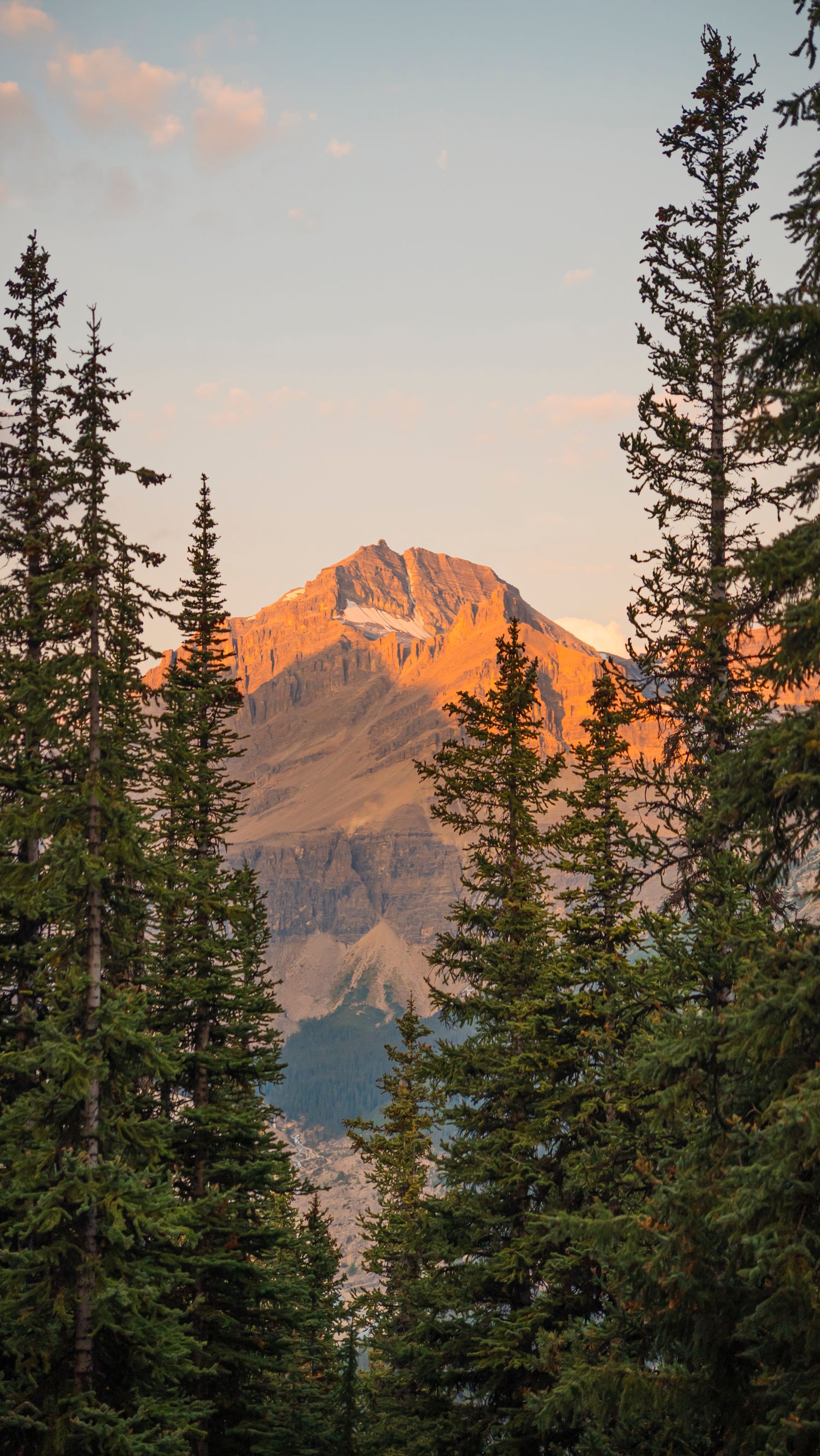 Sunset light illuminates mountain peaks through evergreen trees in Banff National Park.
