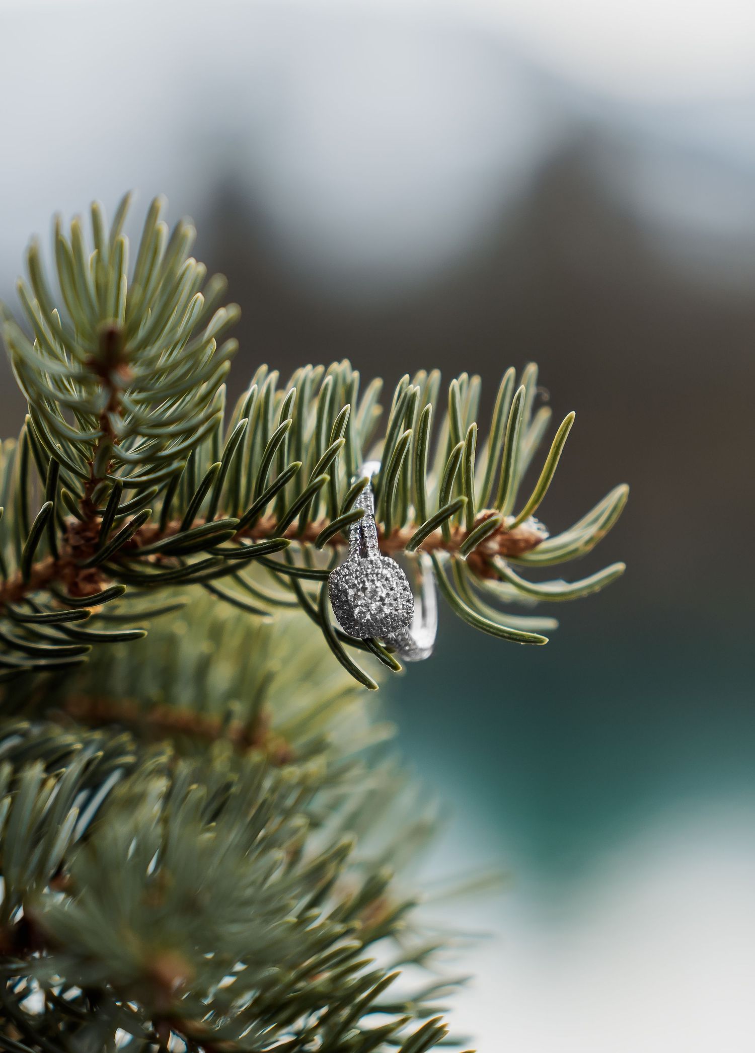 Diamond engagement ring sparkles on an evergreen pine branch with lake in background.