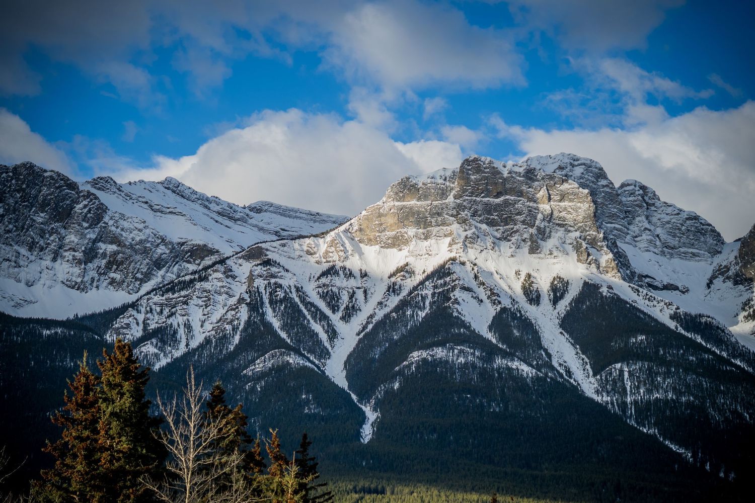 Snow-capped Rocky Mountain peaks rise dramatically against a blue sky with clouds, framed by evergreen forests below.