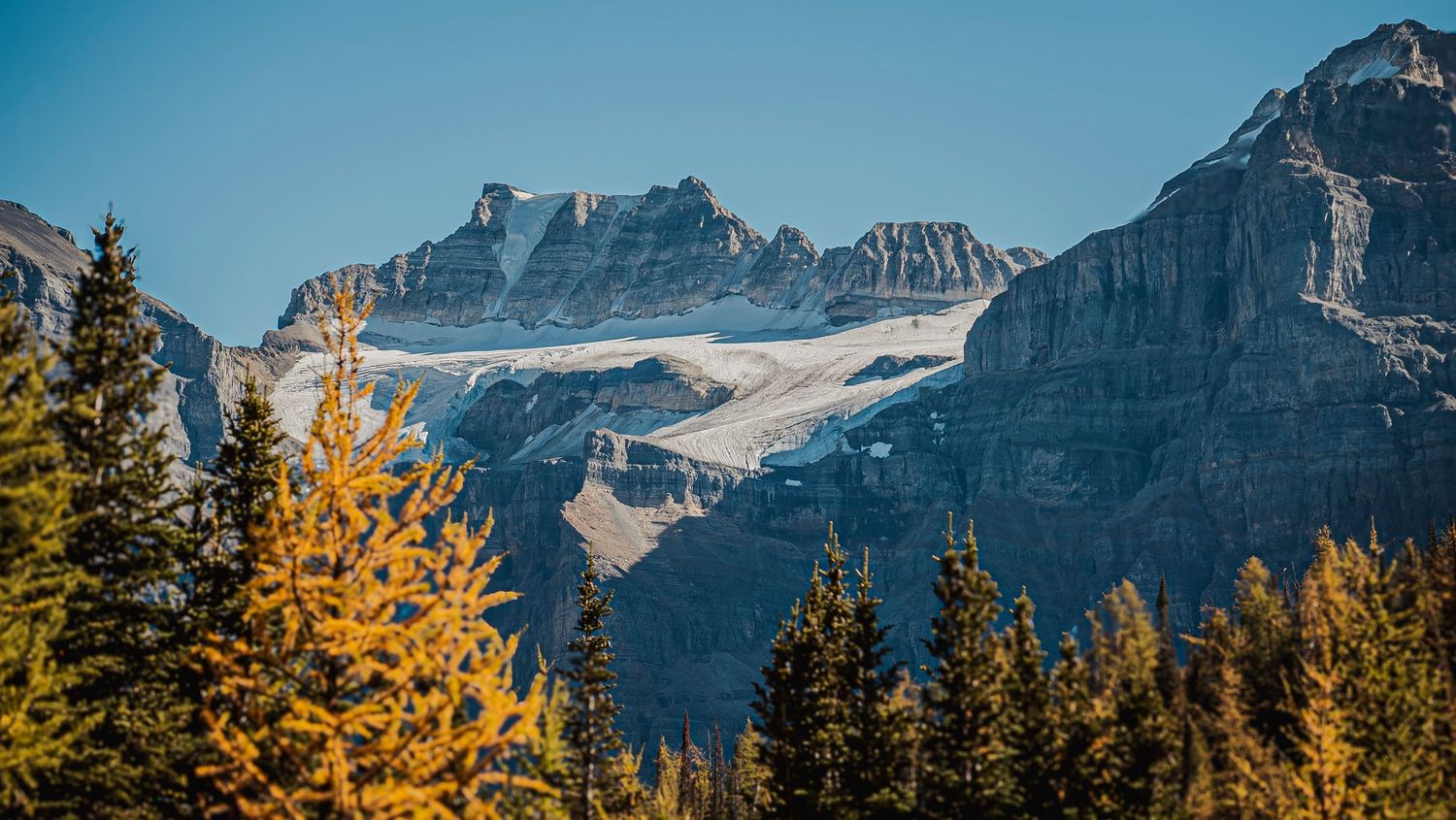 Panoramic view of snow-capped mountain peaks with golden autumn trees in the foreground against a blue sky.