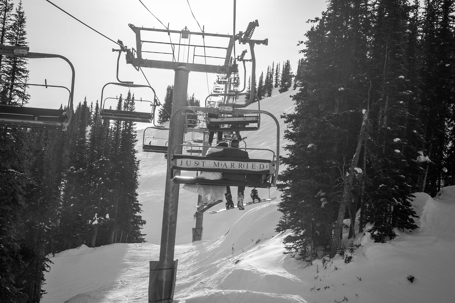 A series of ski lift chairs ascending through snowy evergreen trees on a foggy winter mountain slope.