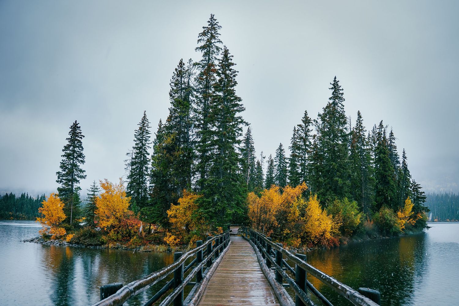 A serene lake surrounded by evergreen trees and golden autumn foliage reflects the cloudy sky in the calm water.