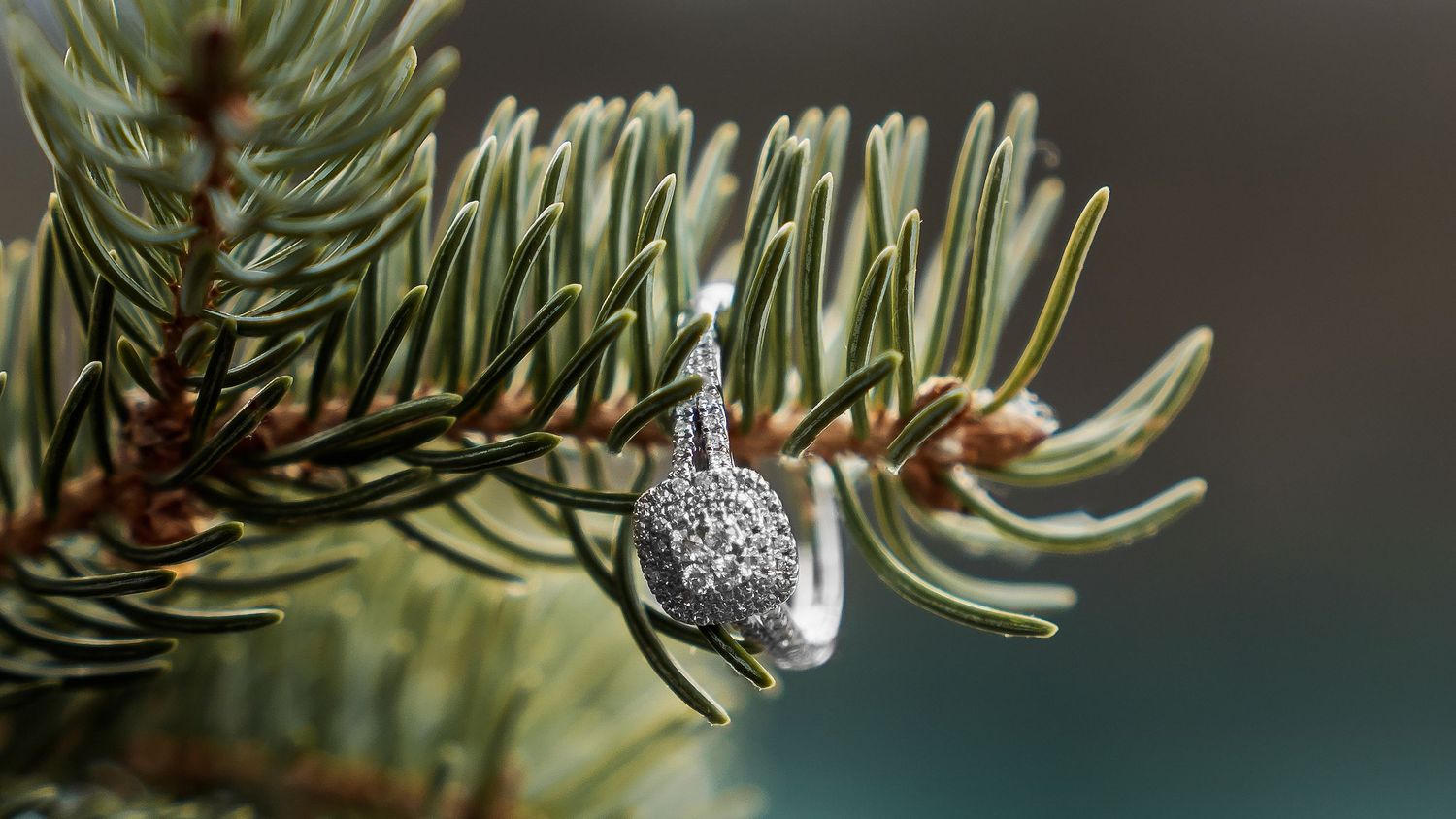 A close-up view of pine needles and branches covered in glistening frost during winter.