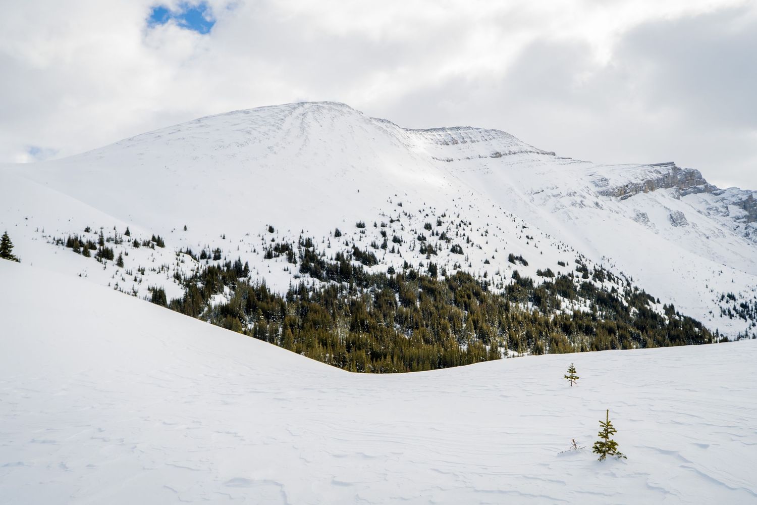 Snow-covered mountain landscape with evergreen trees and cloudy sky in a winter alpine scene.