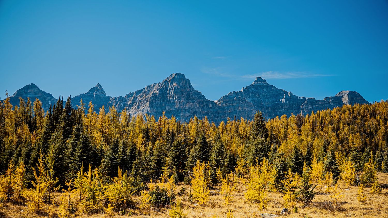 Mountain landscape with golden autumn forest and dramatic peaks in the distance.