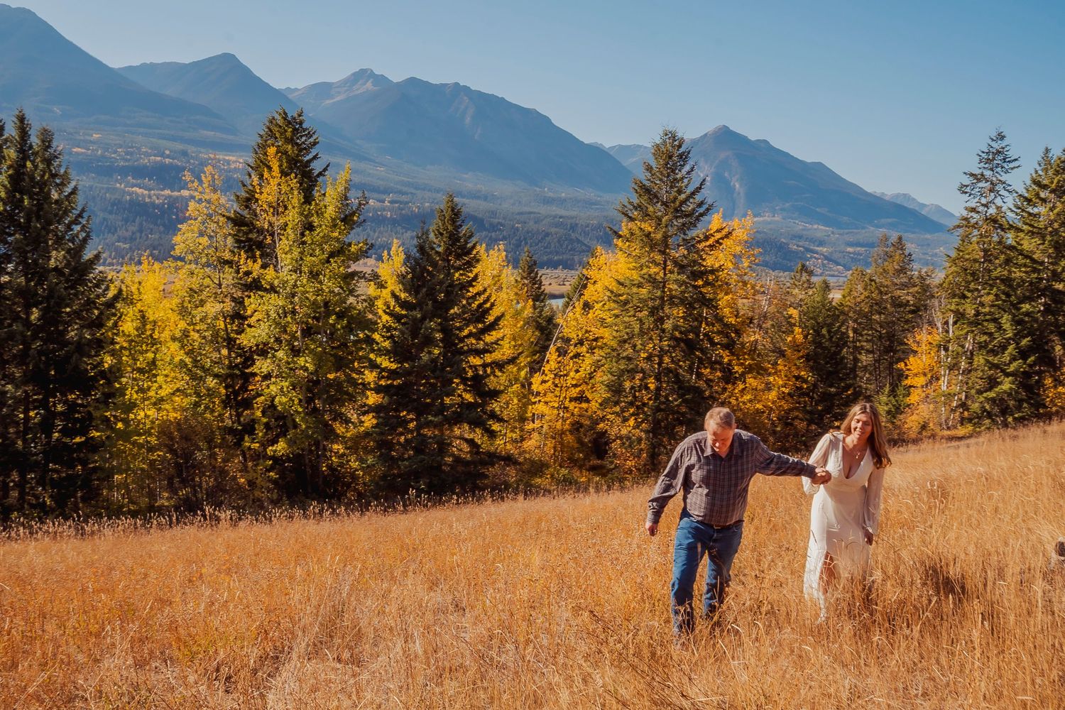 A golden autumn meadow with evergreen trees and mountain peaks in the background.