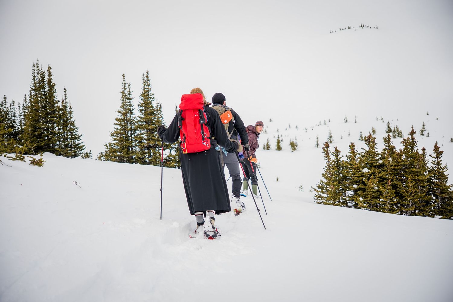 Two hikers with backpacks and ski poles trek through deep snow past evergreen trees in a winter mountain landscape.