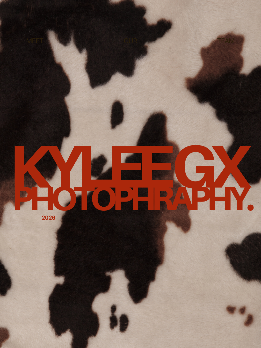 Kylee gx photography brand cow print image