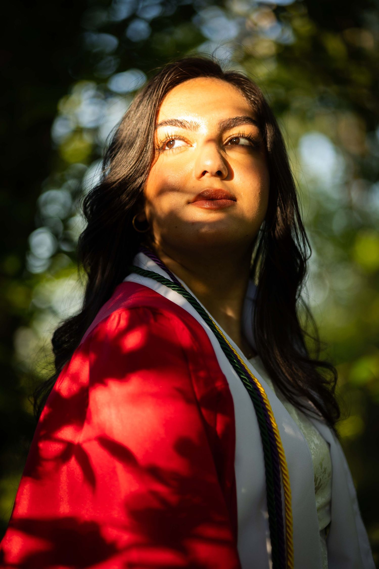 A graduate in a red gown poses against sunlit trees in a series of artistic portraits with dappled lighting effects.