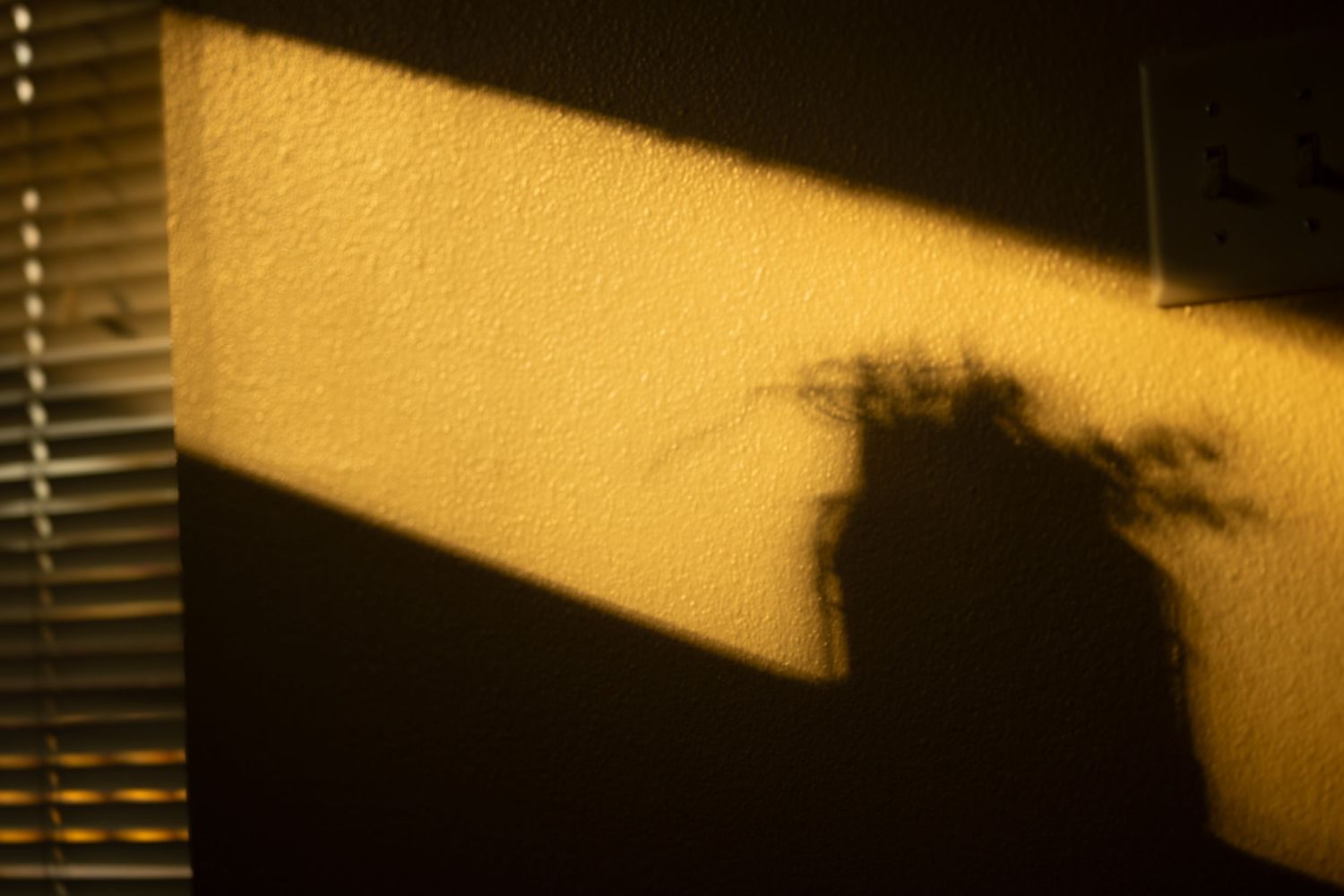 Silhouette of a figure against a yellow-lit window with venetian blinds creating dramatic shadows.