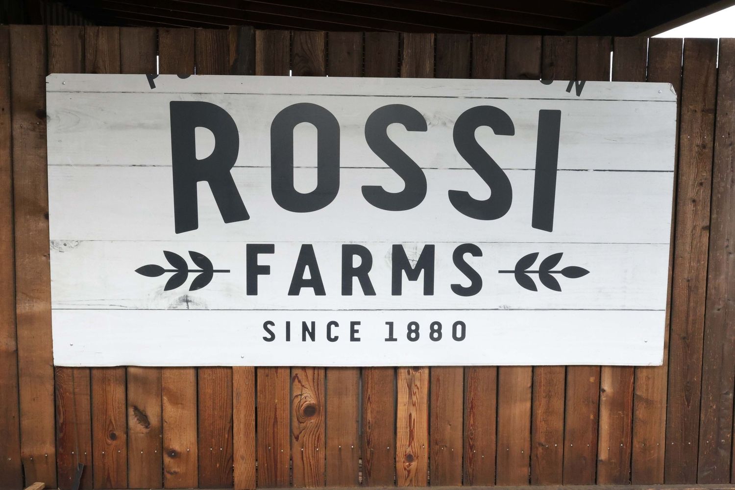Rustic wooden wall with vintage Rossi Arms signage displaying 'Since 1890' text in dark lettering.