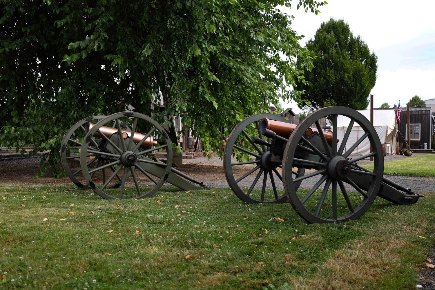 Two historic cannons on wooden wheels displayed on grassy ground with trees and buildings in the background.