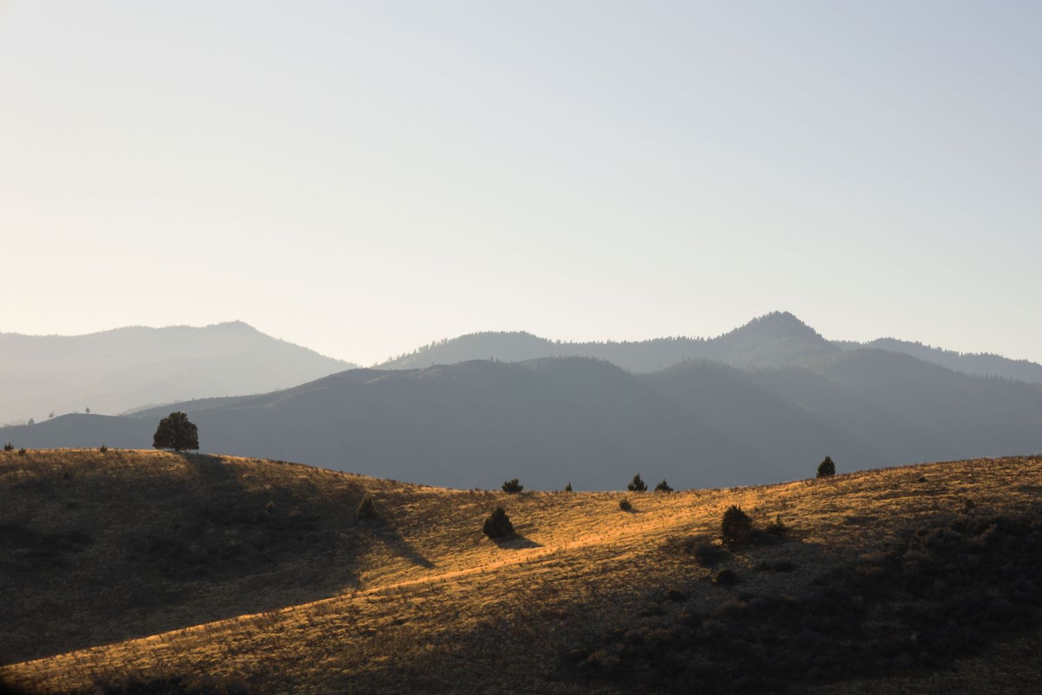 Panoramic view of golden sunlit hills and distant mountain peaks during sunset in a rugged landscape.