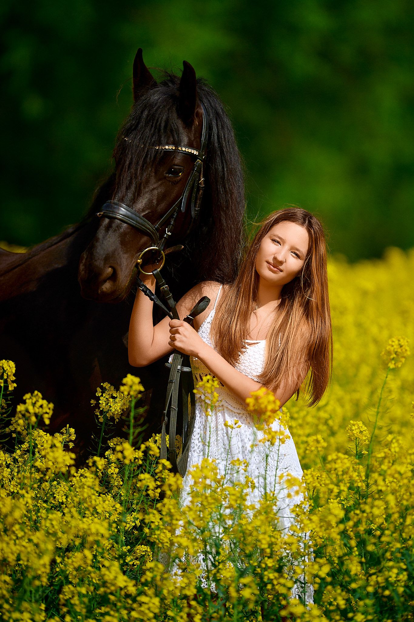 A horse and rider stand in a vibrant yellow canola field on a sunny day.