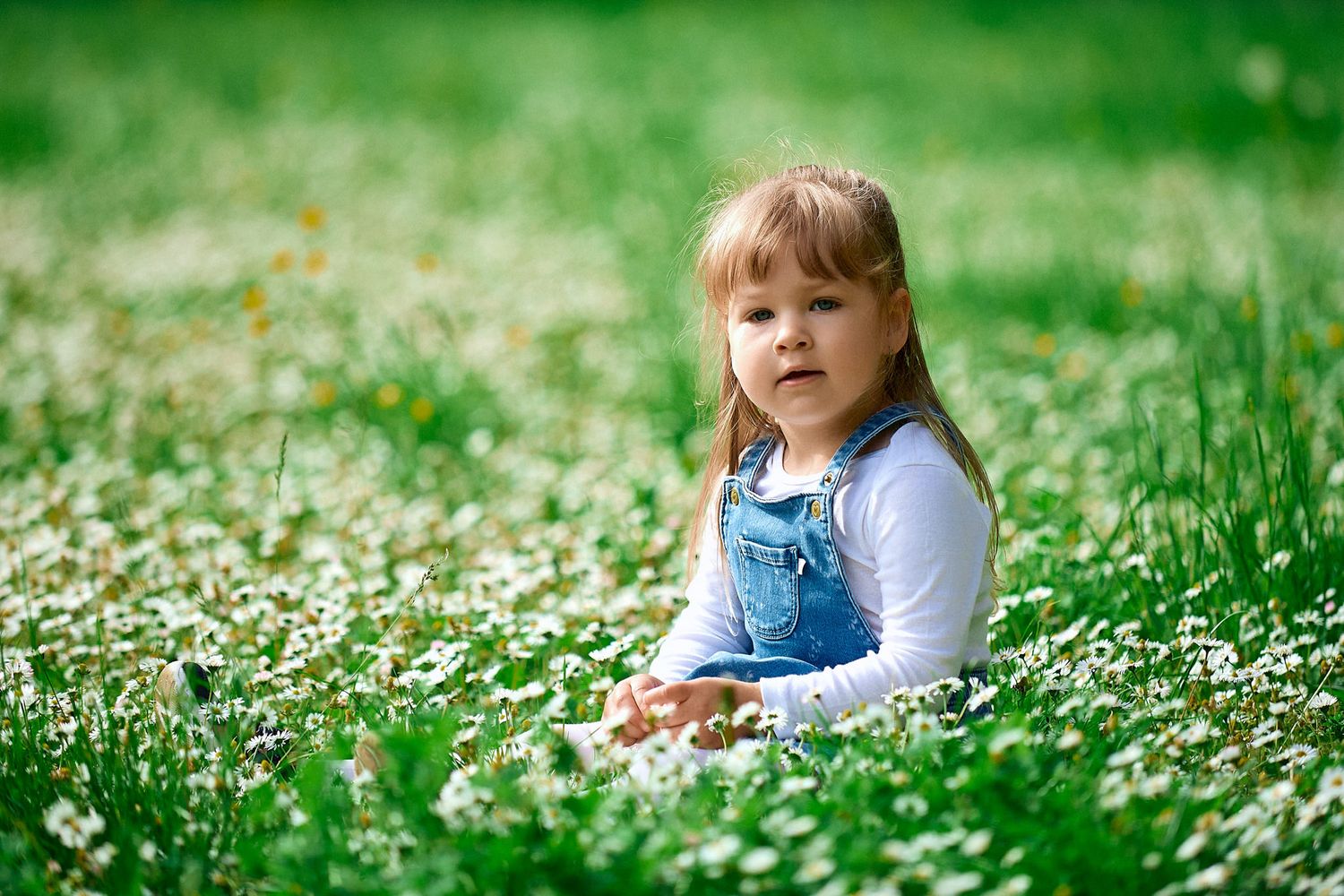 Child playing in field of white daisies on sunny spring day.