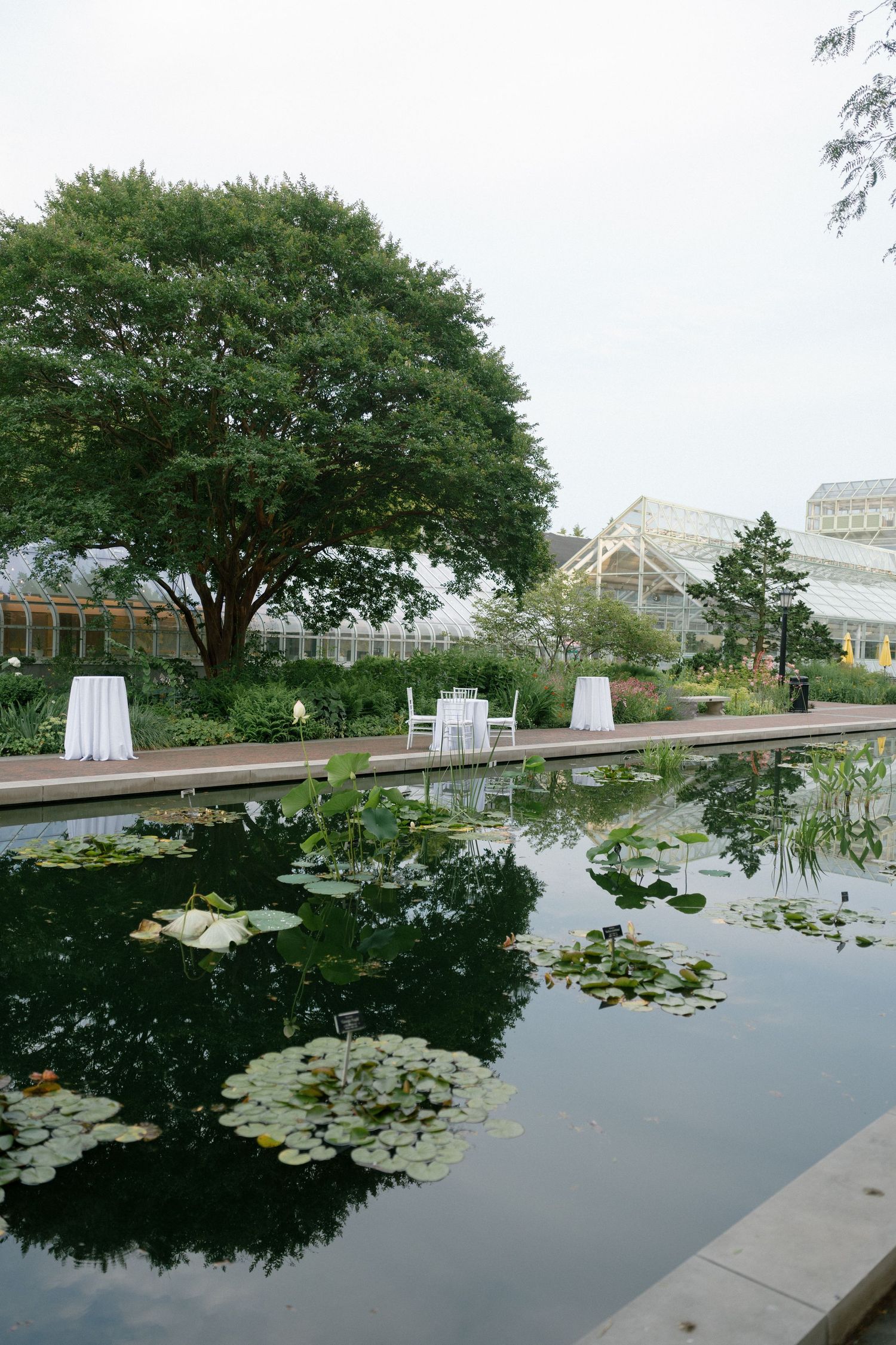 Lily pond reflects trees near white-draped tables at botanical garden.