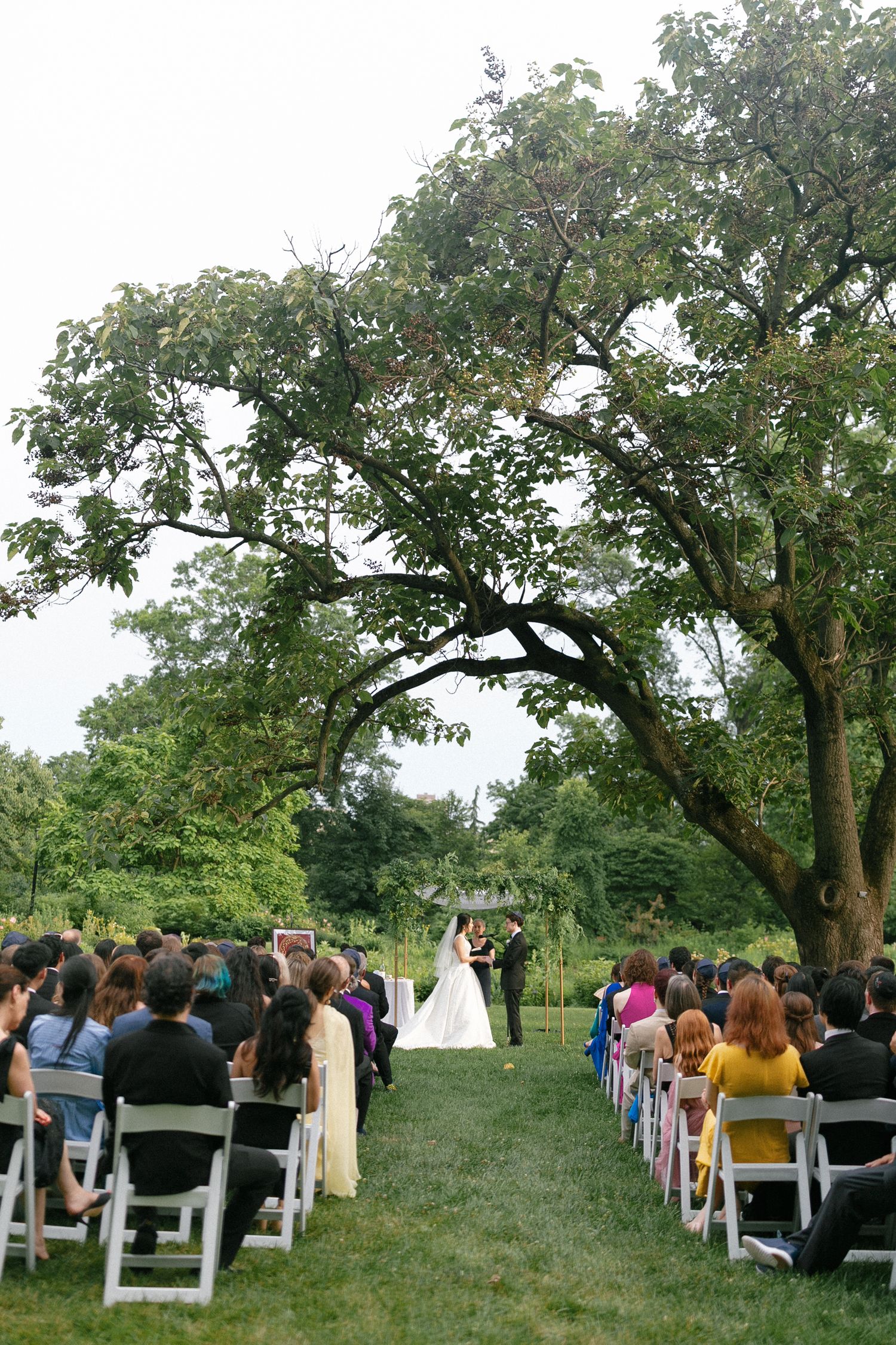 Outdoor wedding ceremony on lush green lawn with guests seated in white chairs along an aisle beneath a large tree.