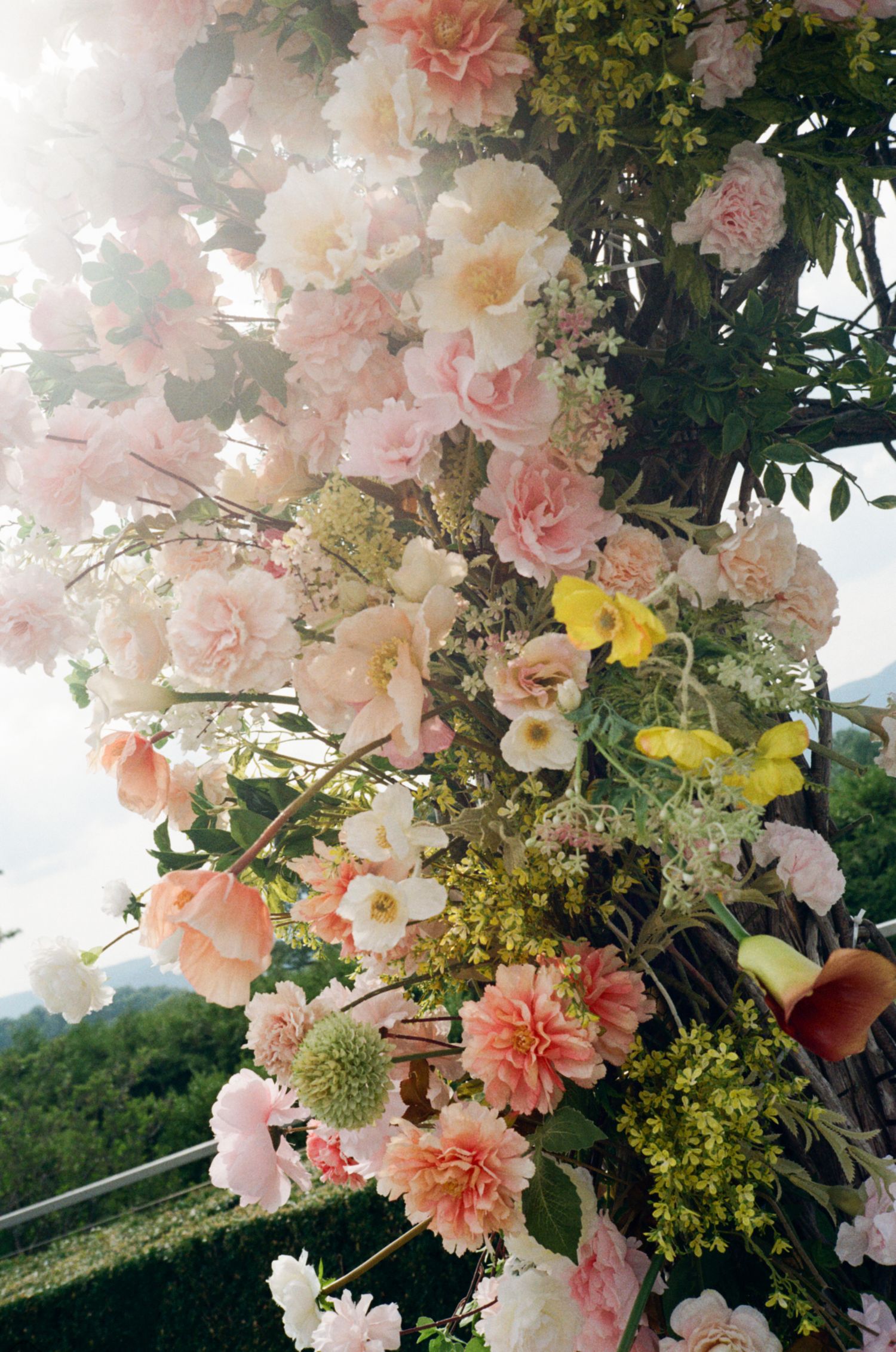 Lush floral arrangement with pink peonies, yellow calla lilies, and white blooms cascading outdoors in soft natural light.