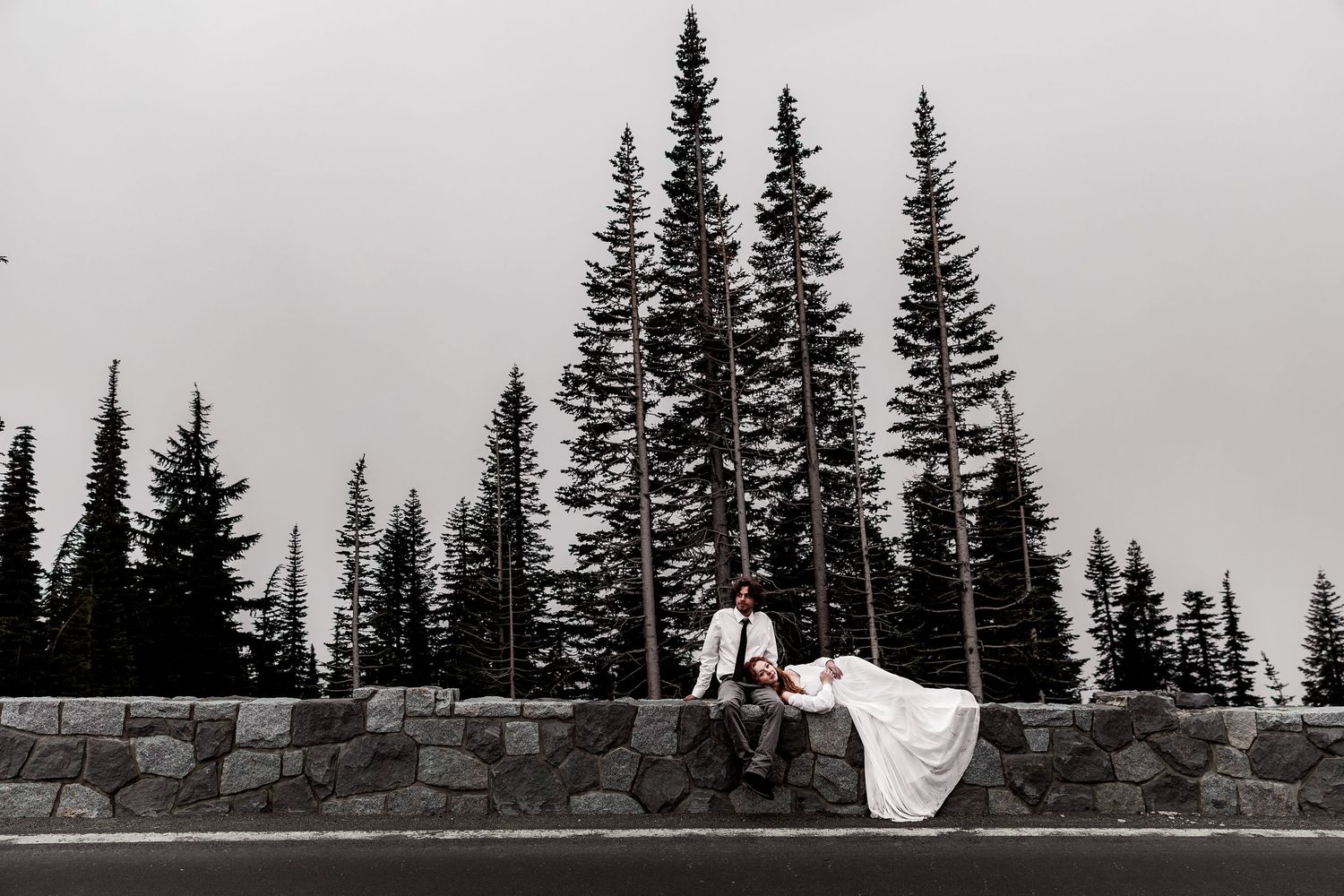 A black and white panoramic photo shows tall evergreen trees silhouetted against a moody, clouded sky.