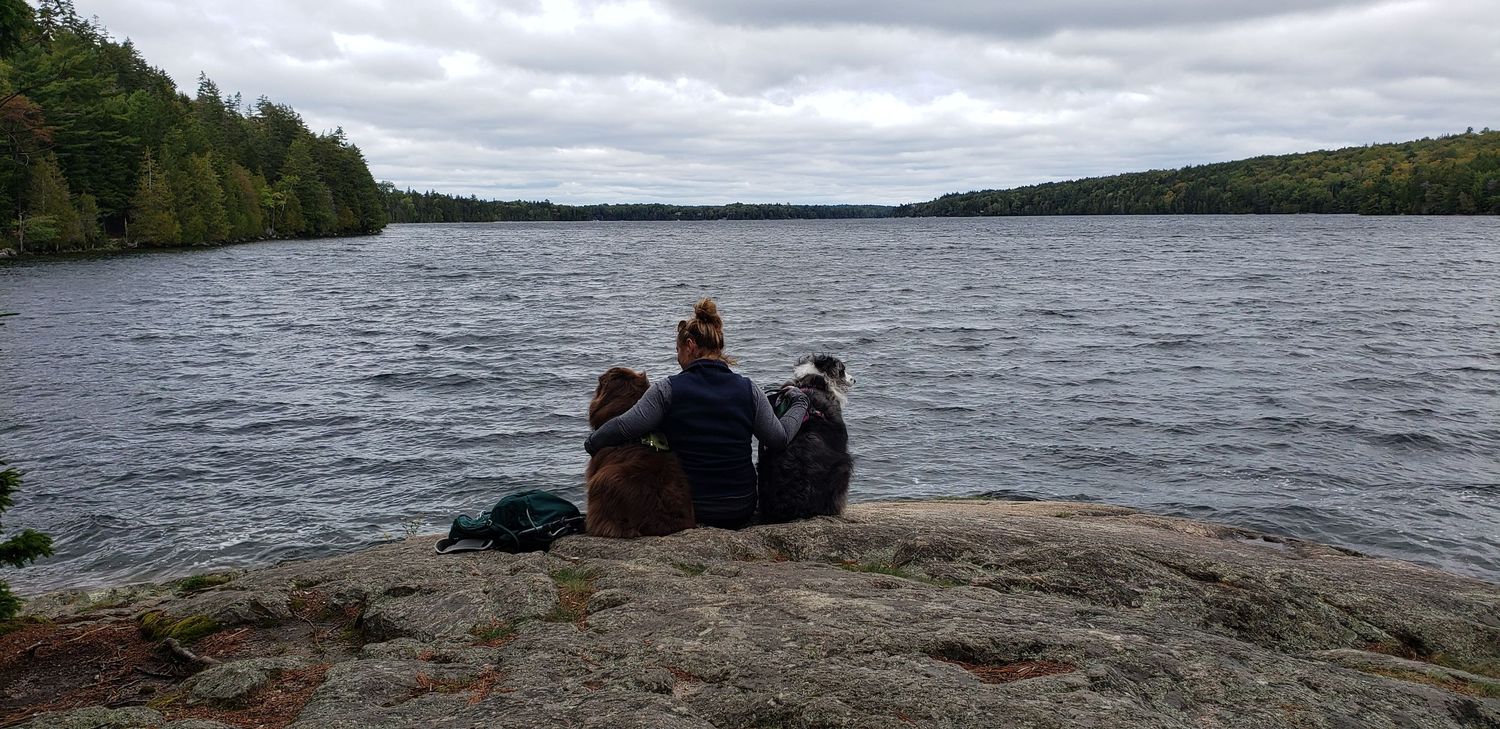 Someone sits peacefully with two dogs on a rocky shoreline overlooking a serene lake surrounded by forested hills.