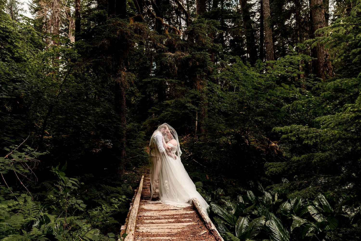 A couple stands on a wooden boardwalk path surrounded by lush evergreen forest and ferns on a sunny day.