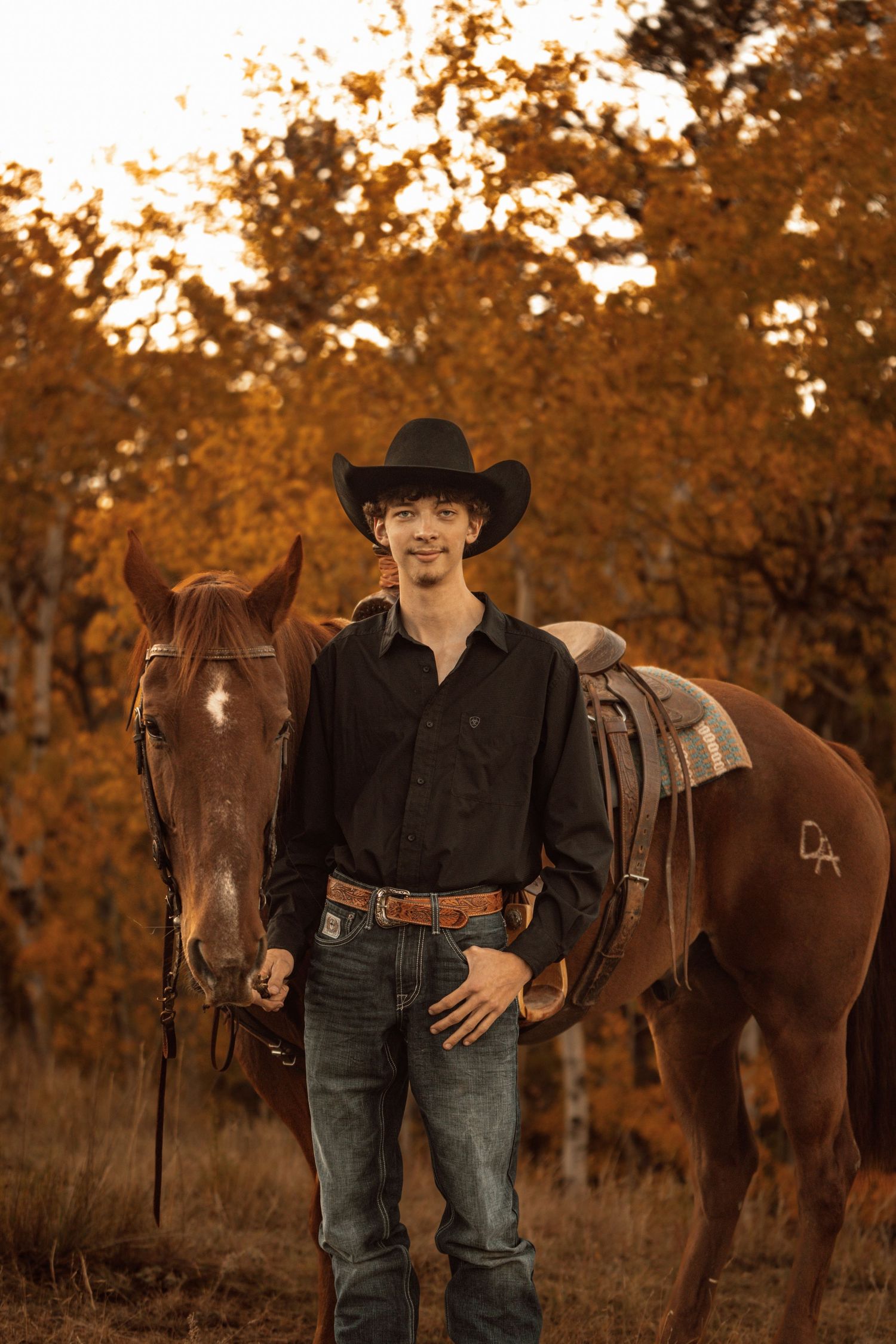A brown horse stands in an autumn field with golden foliage in the background.