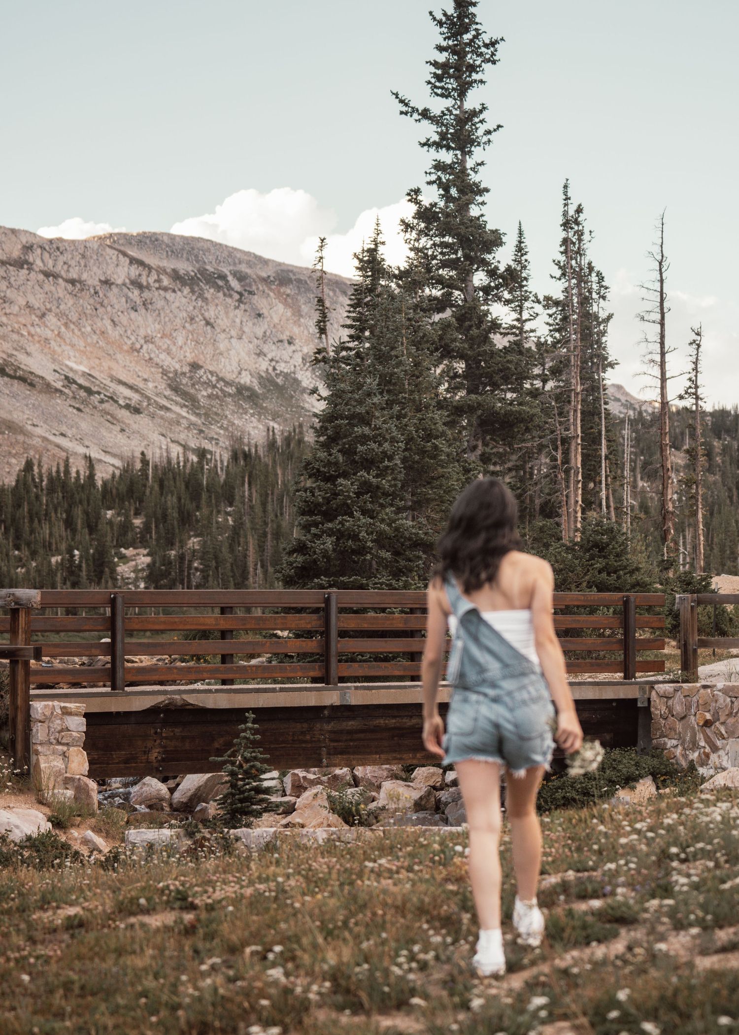 Mountain landscape with wooden fence and wildflowers in alpine setting.