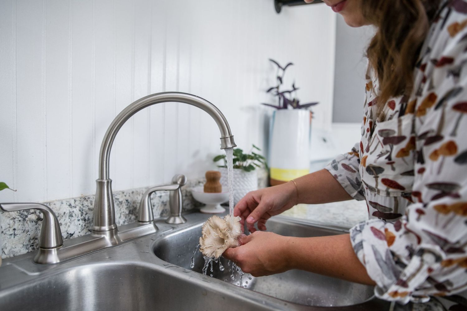 Hands washing something in a kitchen sink with plants visible in the background.