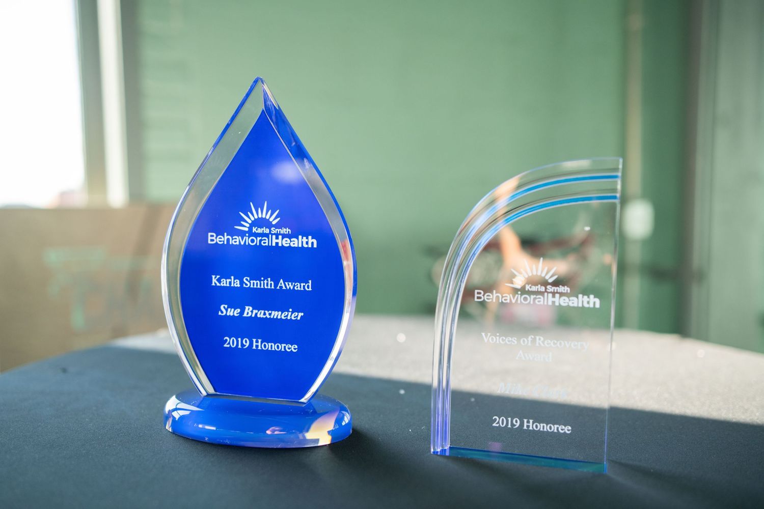 Two blue and clear acrylic award trophies displayed on a green background.