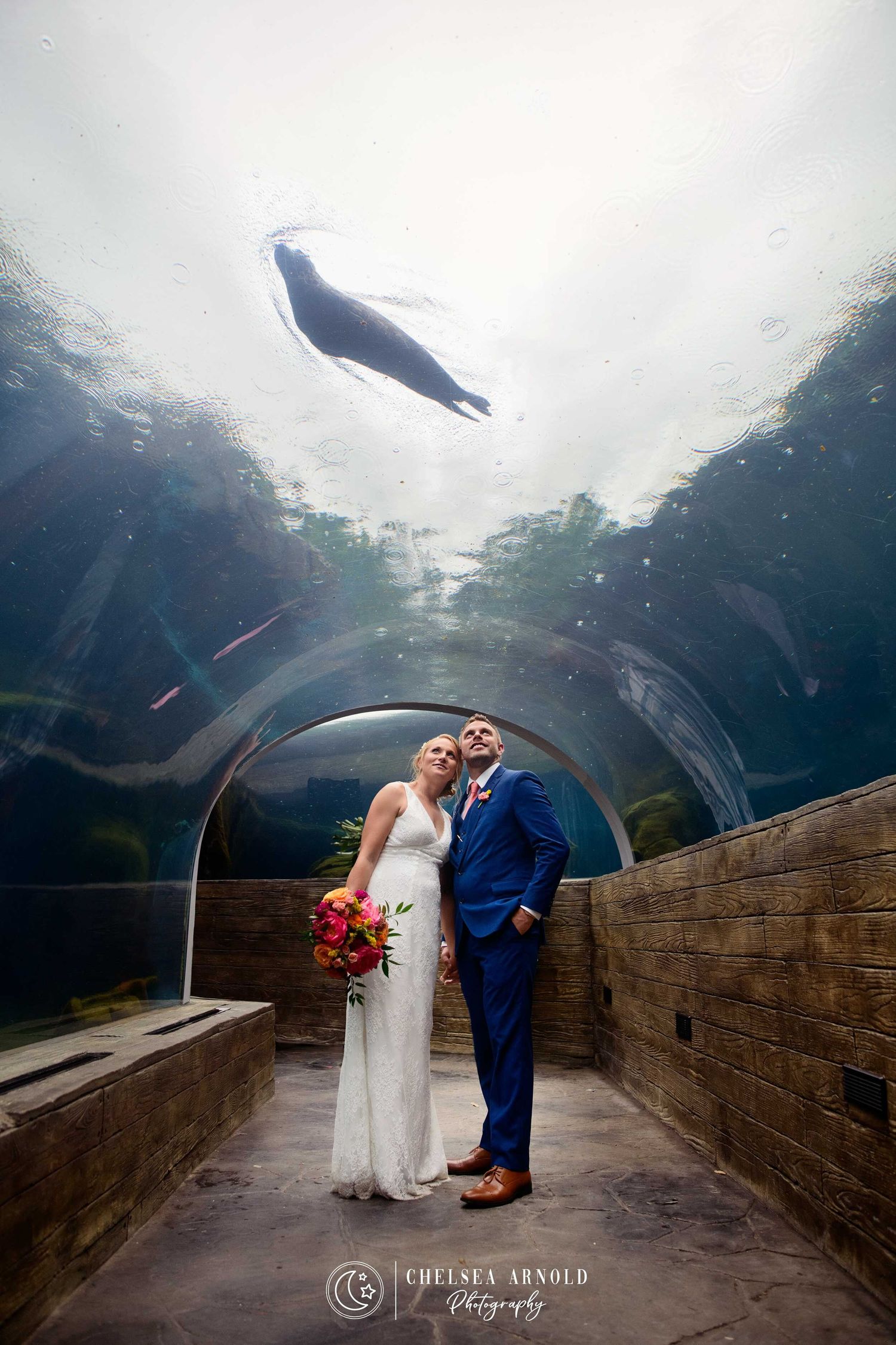 A wedding couple standing under a curved aquarium tunnel walkway surrounded by marine life creates a magical ambiance.