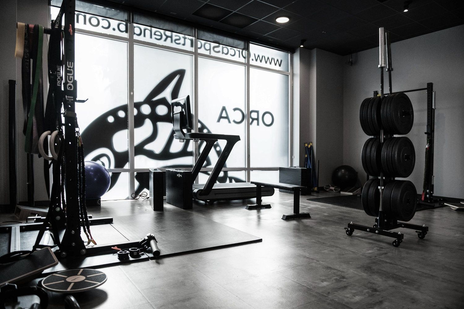 Modern fitness facility interior with equipment silhouettes and ORCA branding.