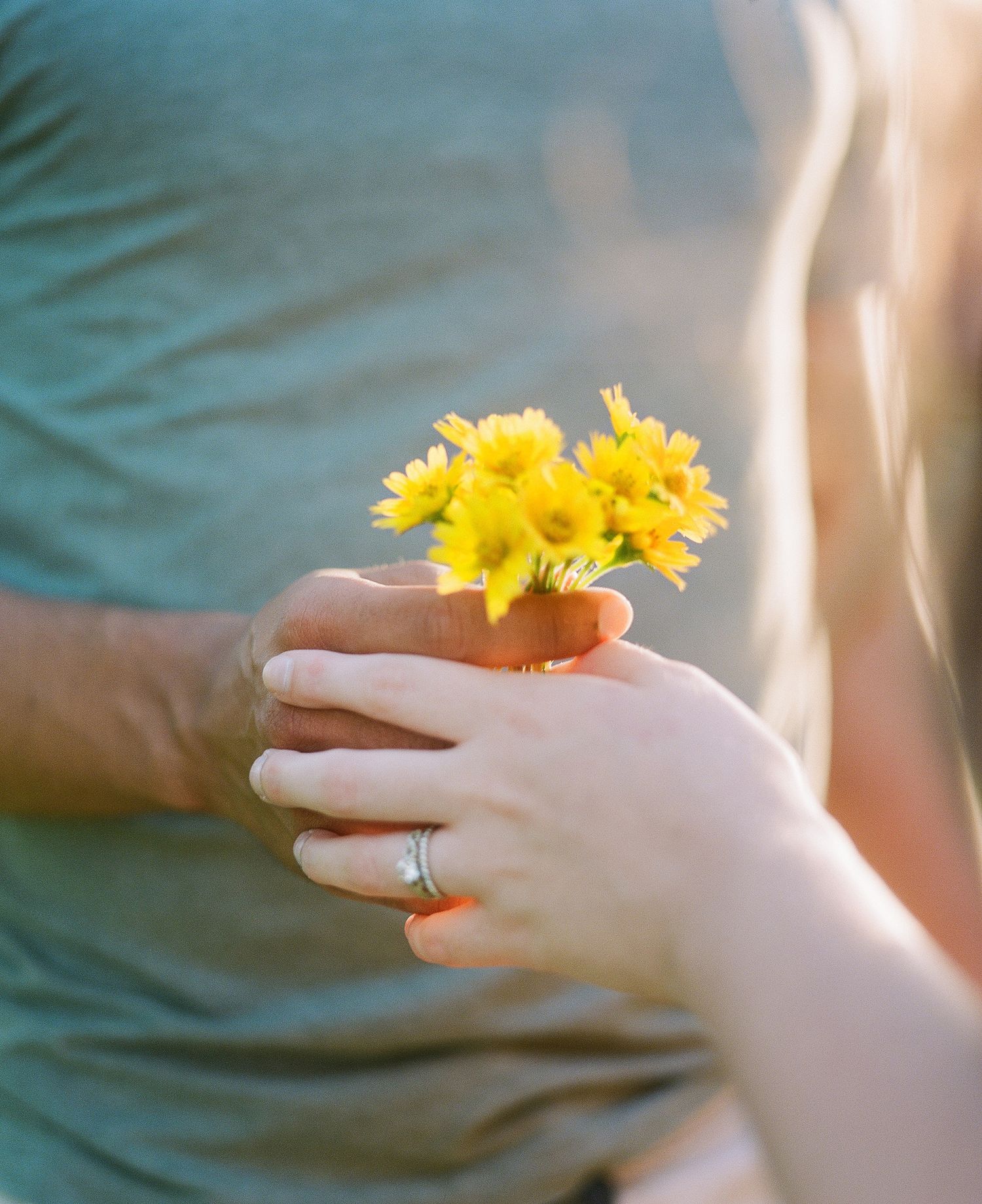 Hands holding small yellow daisies with engagement ring on finger.
