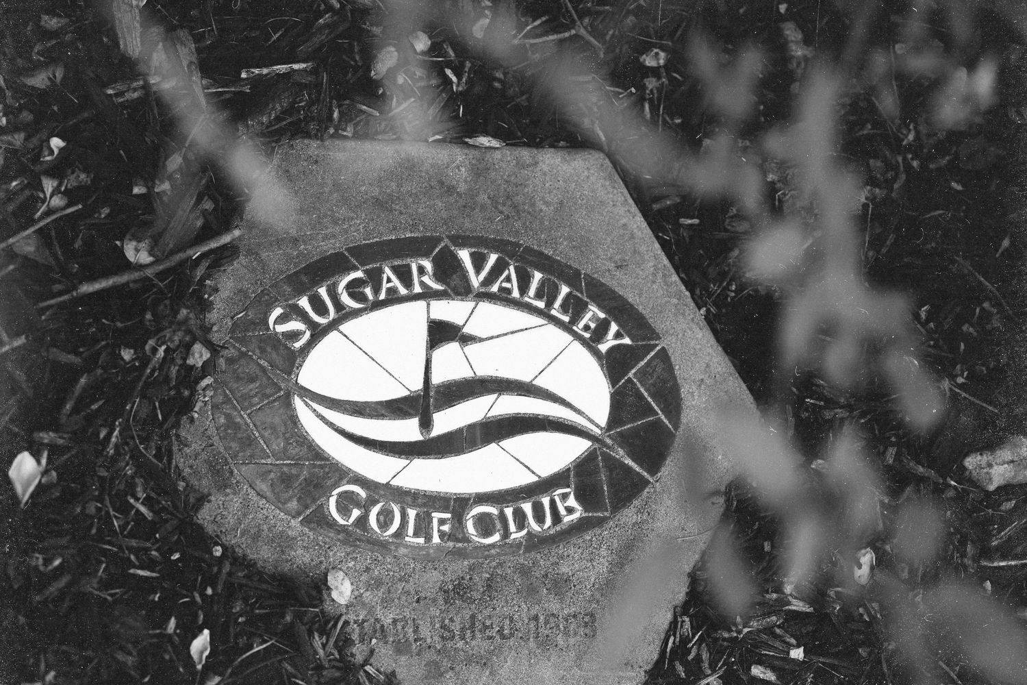 A black and white sign for Sugar Valley Golf Club appears through tree branches in a moody composition. Located in Bellbrook, Ohio.