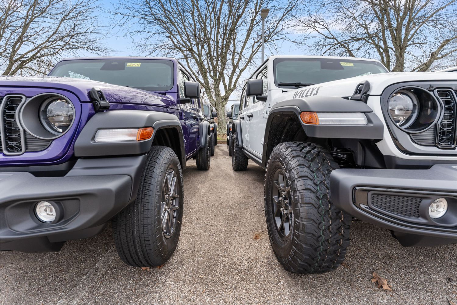 Two Jeep Wranglers, one purple and one silver, parked side by side on a lot with large off-road tires.