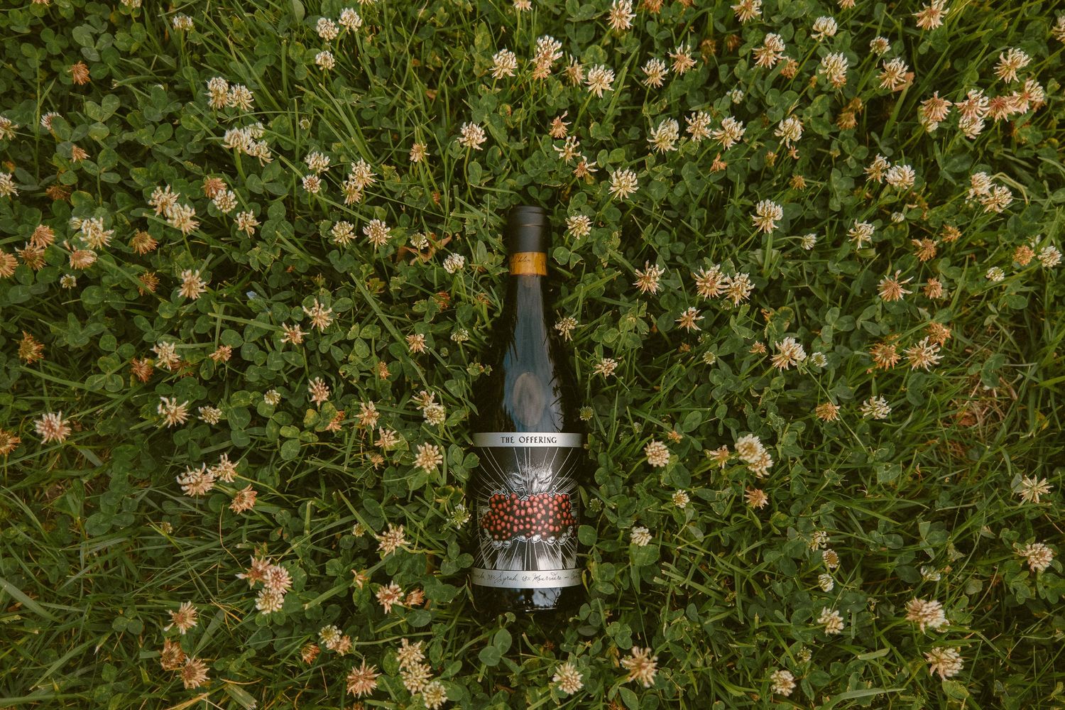 Wine bottle lying in a field of green grass and white clover flowers.