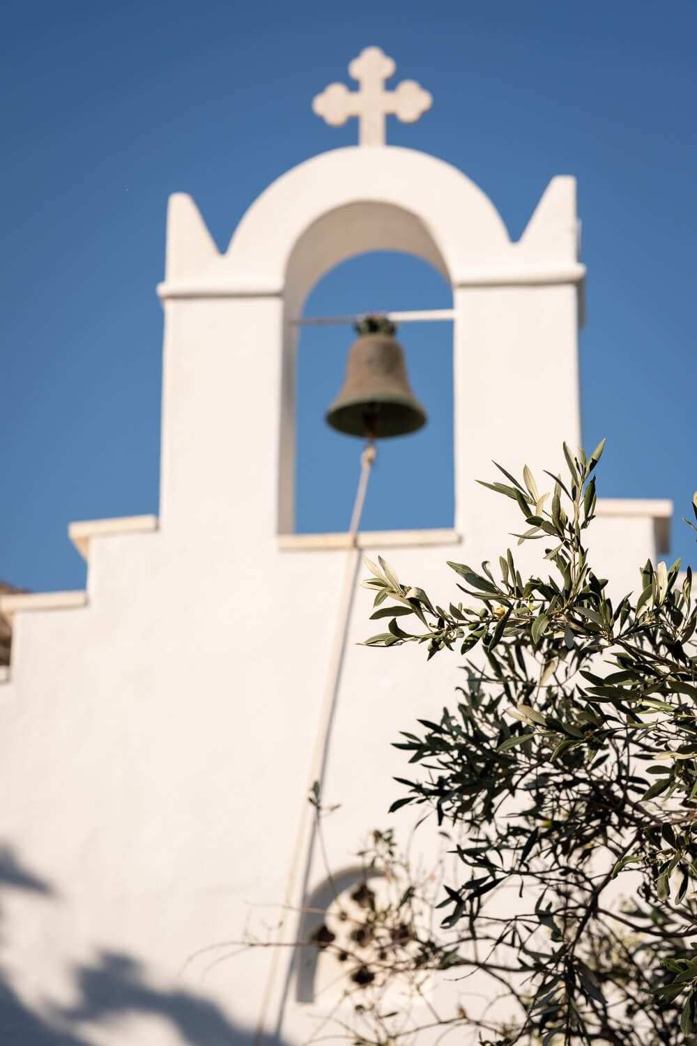 White church bell tower with cross against bright blue sky with olive branches in foreground.