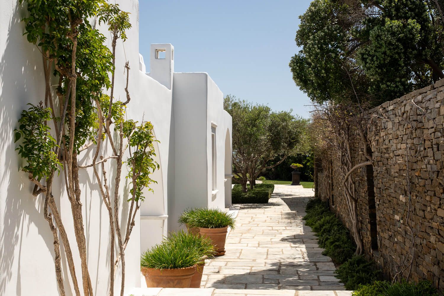 Shaded outdoor walkways lined with lush Mediterranean vegetation