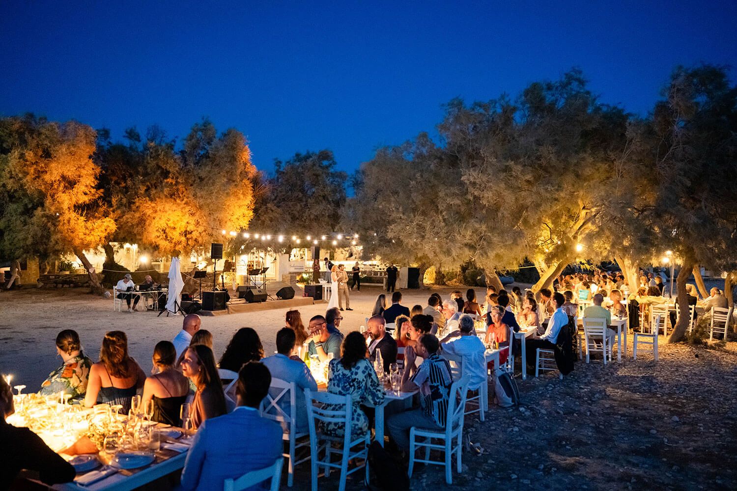Outdoor evening wedding reception with illuminated trees and guests seated at tables under string lights in a rustic setting.