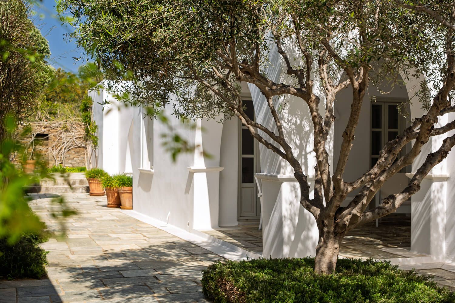 The seamless blend of classic aesthetics and natural beauty