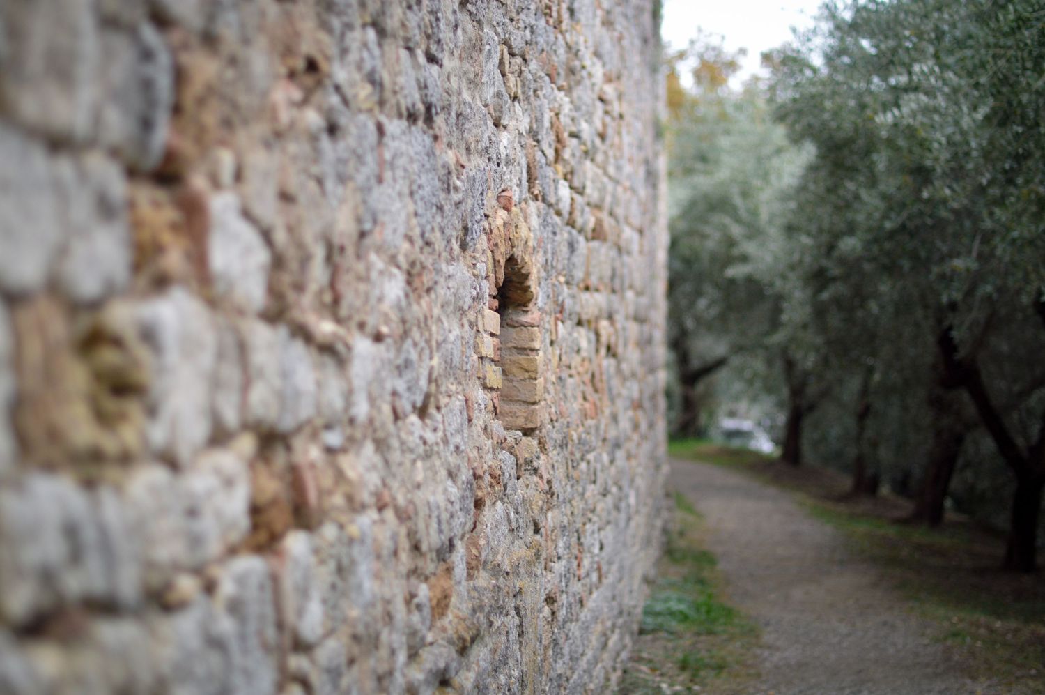 Eine rustikale Steinmauer mit einer kleinen Fensternische entlang eines unbefestigten Weges, gesäumt von Olivenbäumen in der Toskana.