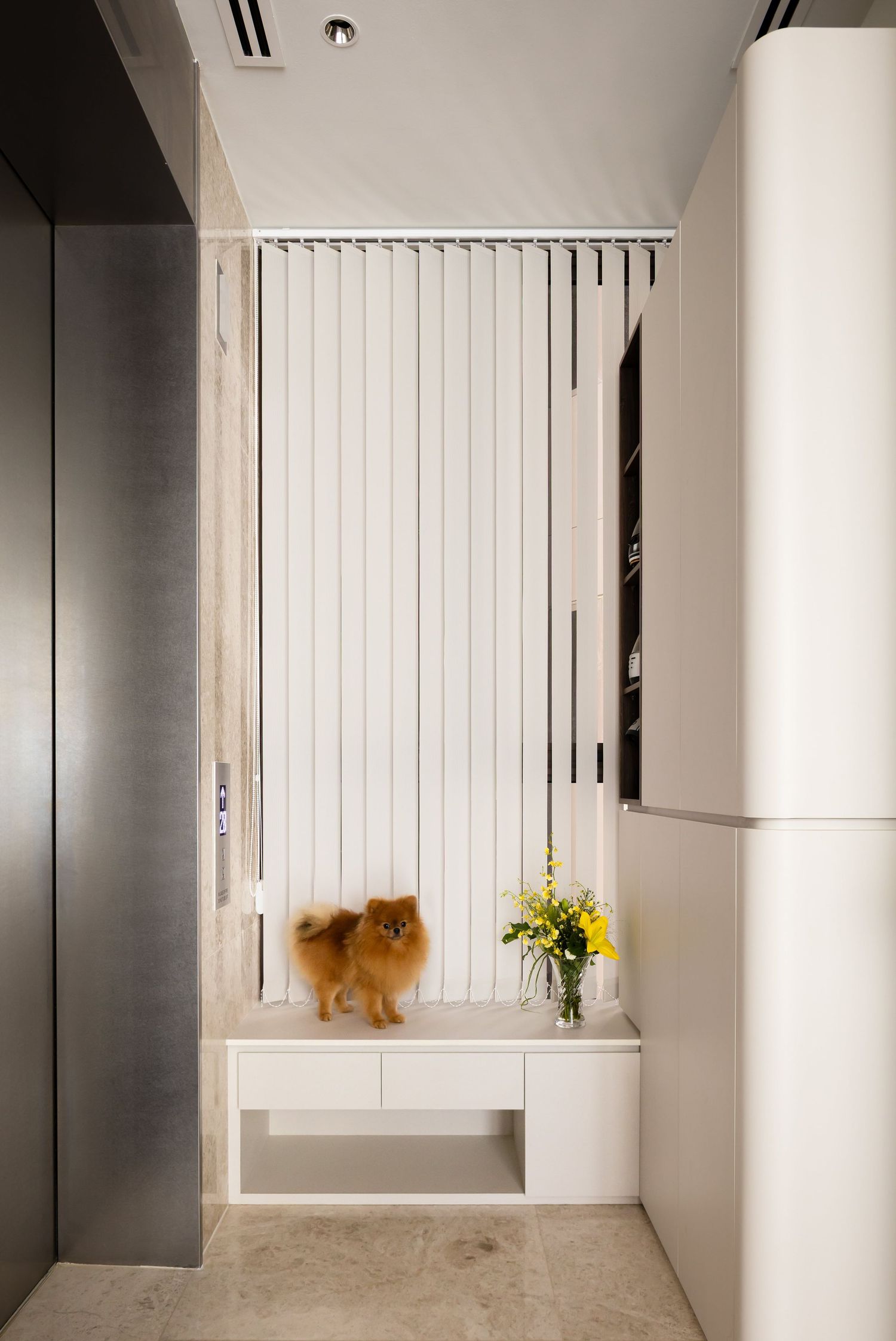 A small Pomeranian dog sits by a white vertical slatted door with a yellow flower vase on a minimalist entryway bench.