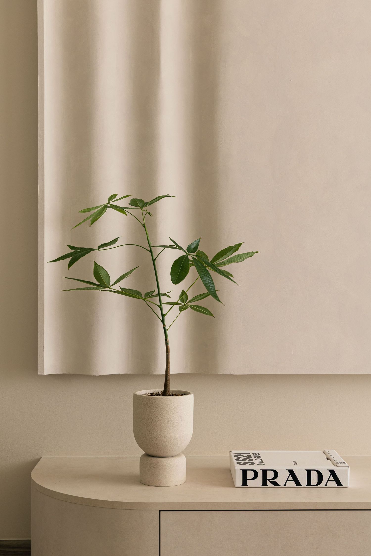 Minimalist beige dresser with a green plant in a ceramic pot beside a Prada book against a neutral wall.
