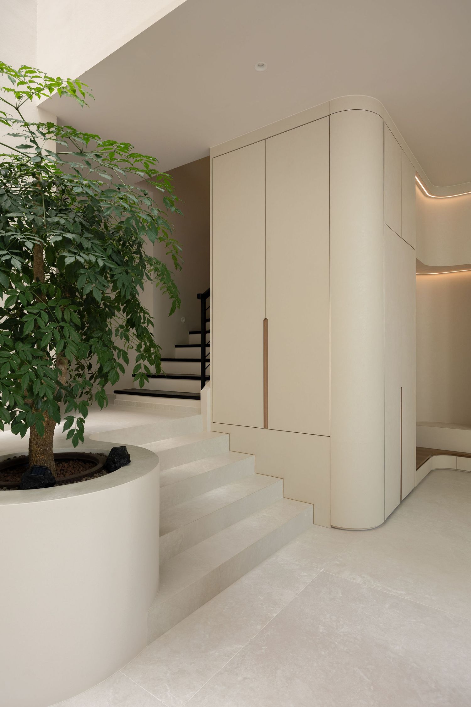 Modern minimalist entryway with cream built-in cabinets, marble floors, and a large indoor tree in a curved white planter.