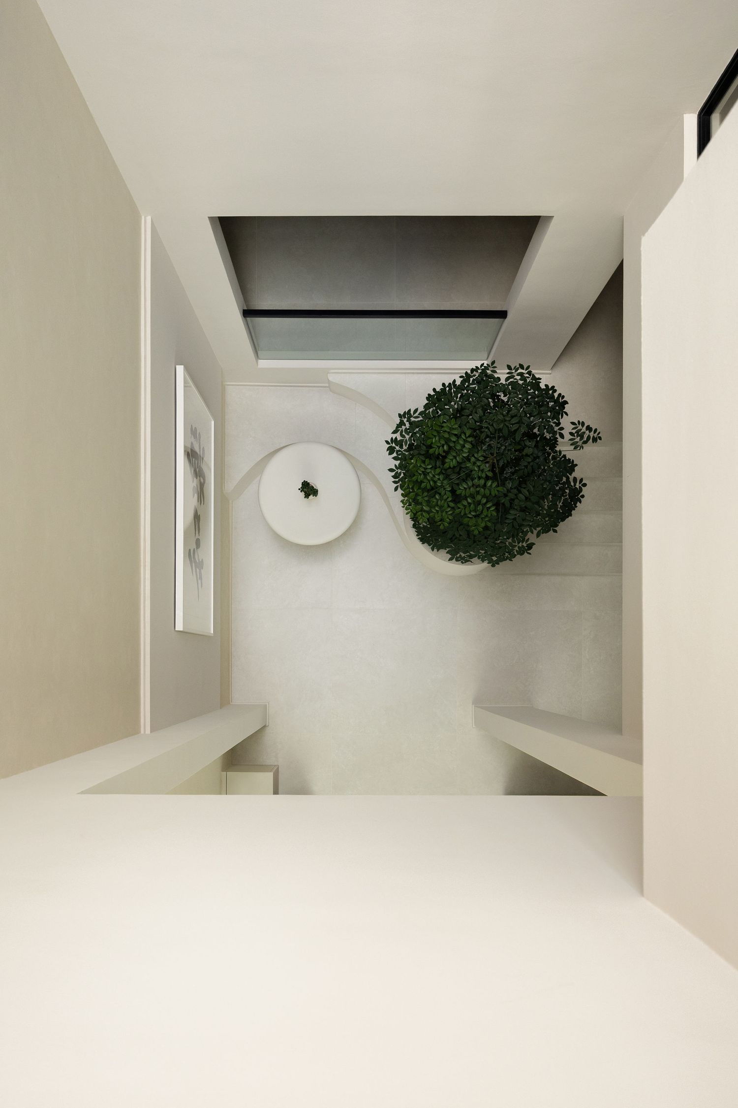 Aerial view of a minimalist white interior space featuring a lush green tree, circular wall art, and clean architectural lines.